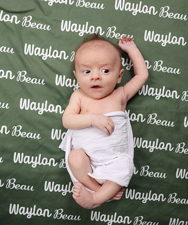 Waylon-42