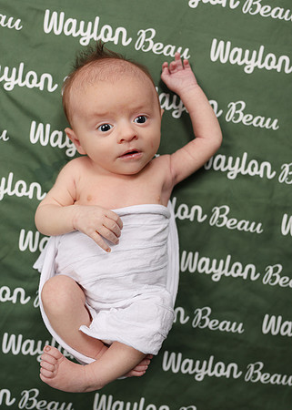 Waylon-43
