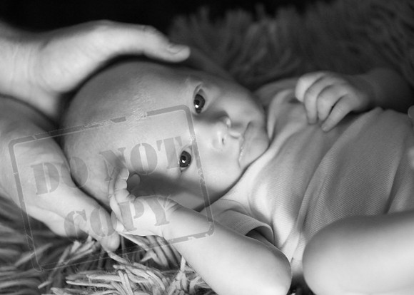 IMG_7119bw