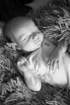 IMG_7129bw