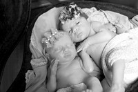 IMG_6574bw