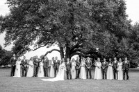 Wedding Party-6