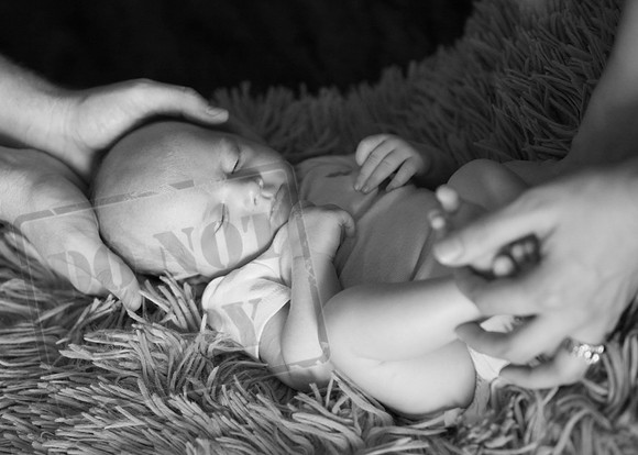 IMG_7121bw