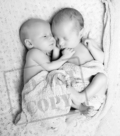 IMG_6661bw