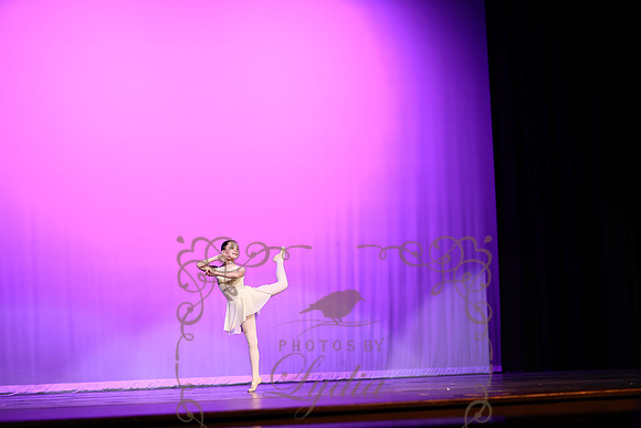 Don Quixote (10)
