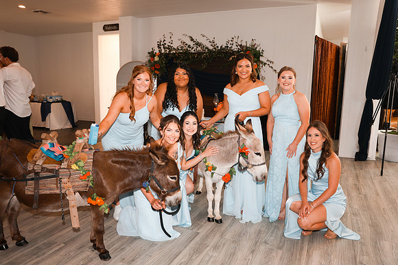 Reception-51