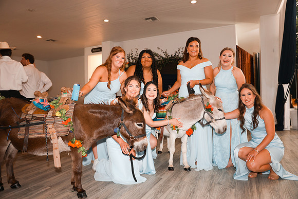 Reception-52