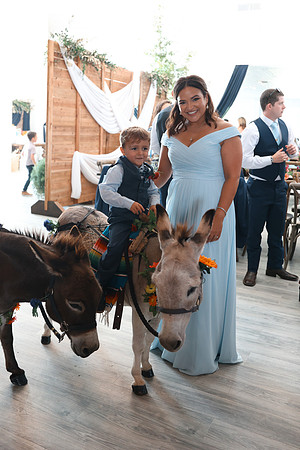 Reception-12