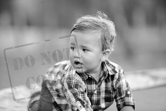 IMG_0249bw