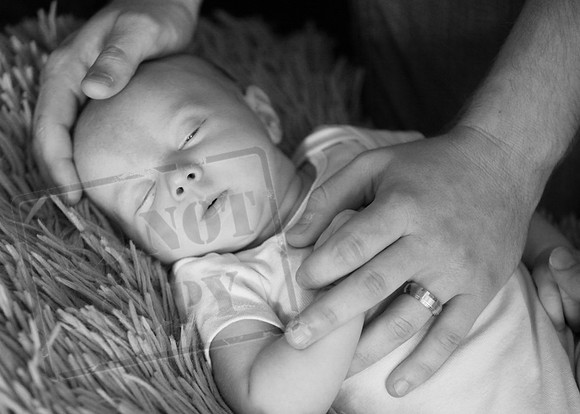 IMG_7113bw