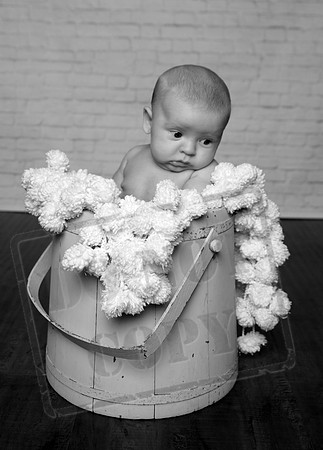 IMG_2634bw