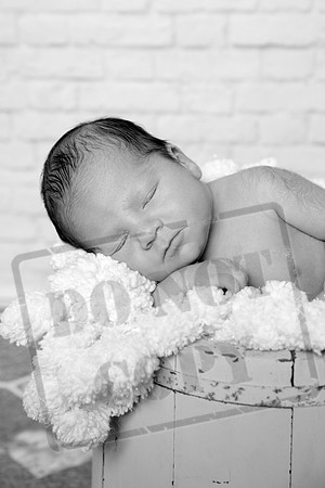 IMG_7031bw