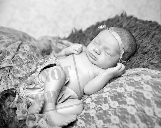 IMG_8879bw