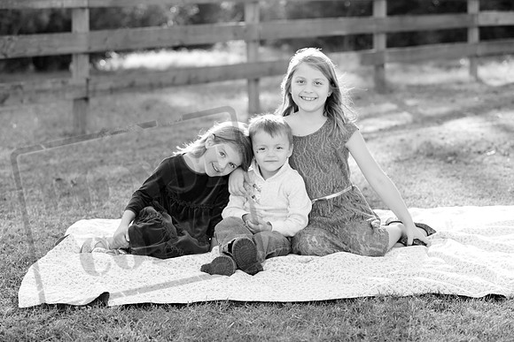 IMG_2546bw