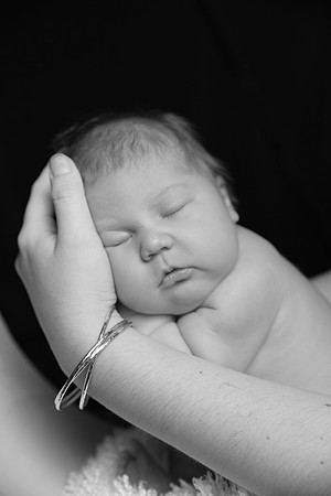 IMG_9714bw