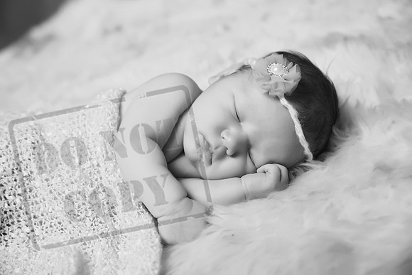 IMG_6067bw