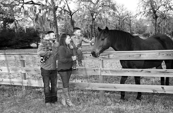 IMG_4103bw