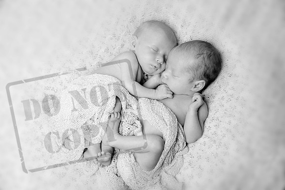 IMG_6650bw