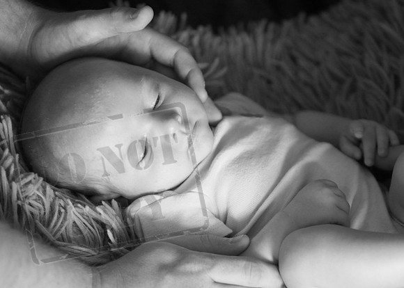 IMG_7117bw
