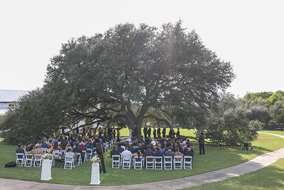 Vows-8
