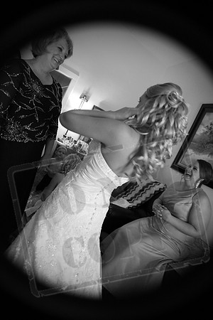 IMG_0557