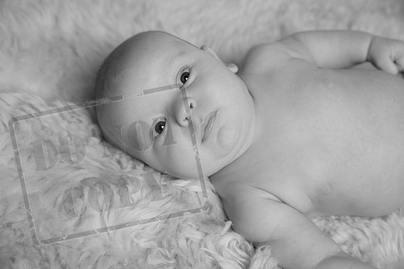 IMG_2600bw