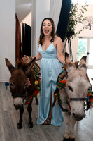 Reception-9