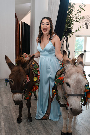 Reception-9