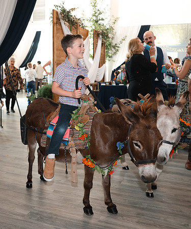 Reception-6