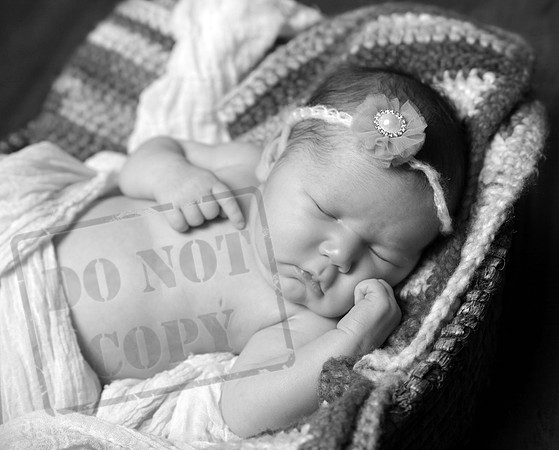 IMG_6086bw