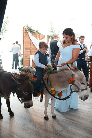 Reception-11