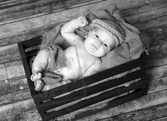IMG_2545bw