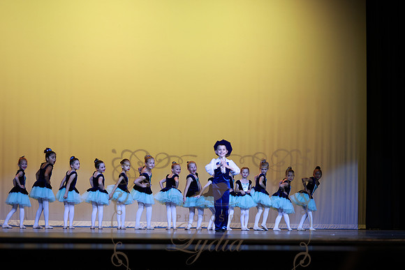 Pied Piper (64)
