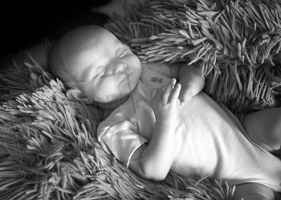 IMG_7127bw
