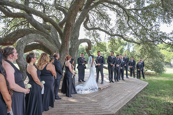 Vows-3