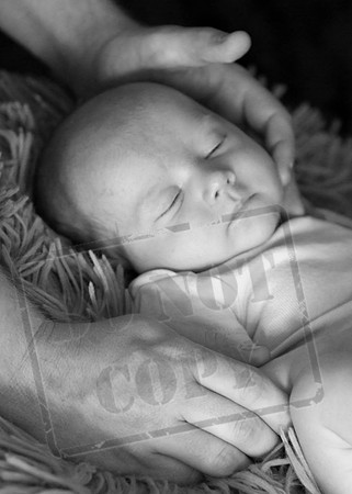 IMG_7115bw