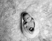 IMG_9619bw