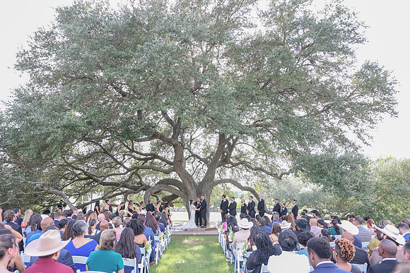 Vows-6