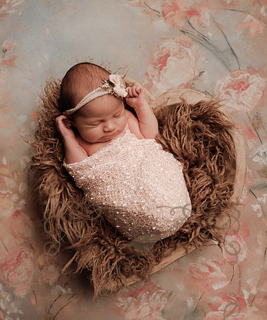 Teagan-3