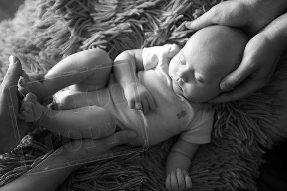 IMG_7124bw