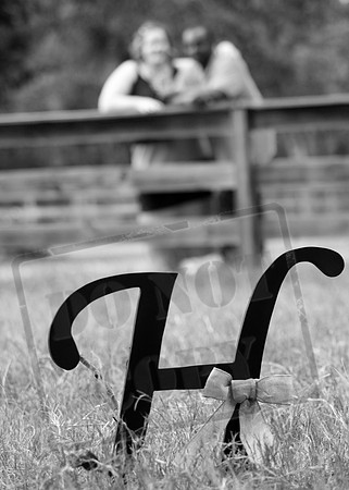 IMG_8206bw