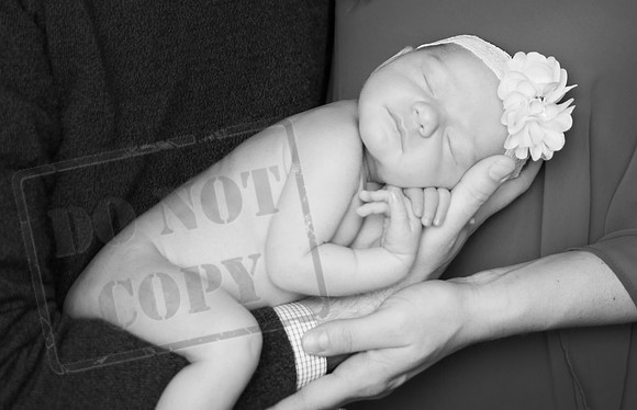 IMG_8947bw
