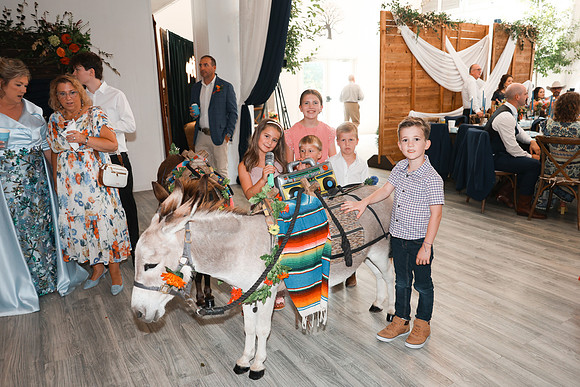 Reception-48