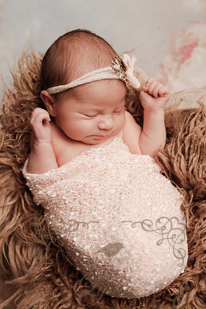 Teagan-4