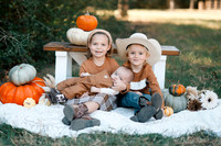 Fall-3
