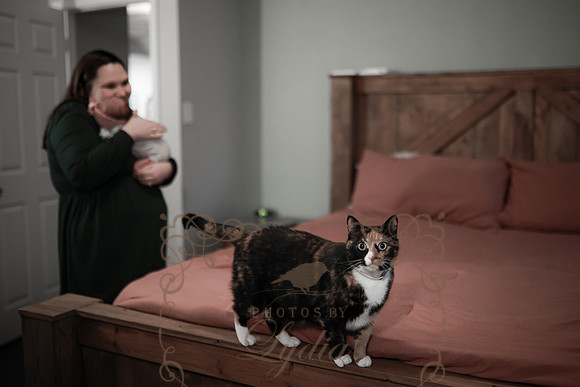 Millie-51