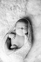 IMG_9614bw
