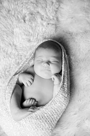 IMG_9614bw