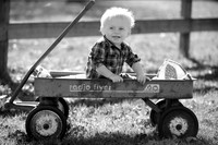 IMG_9269bw