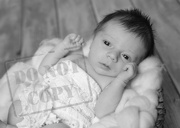 IMG_3865bw